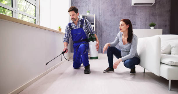 Best Indoor Pest Control  in Willcox, AZ